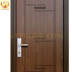 Cận cảnh cửa thép vân gỗ NS1H17 1 cánh chi tiết